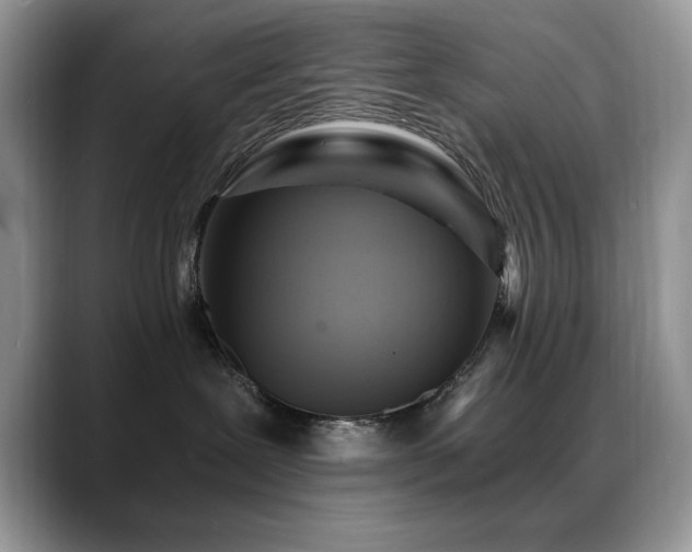 X0000088860239200706081158
