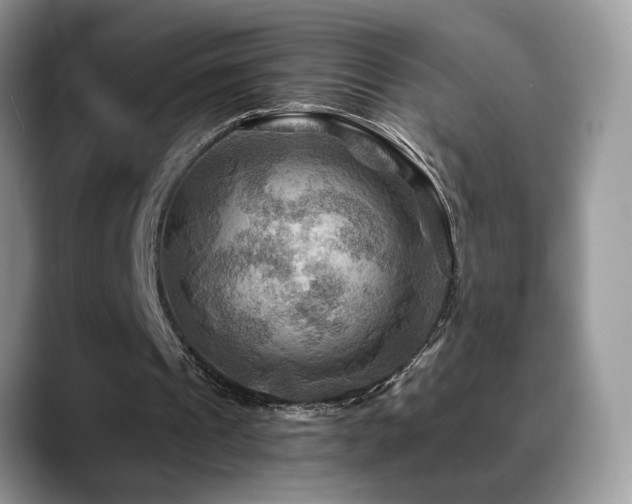 X0000088860241200706081158