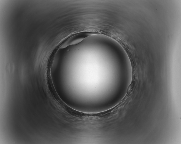 X0000088860242200706081158