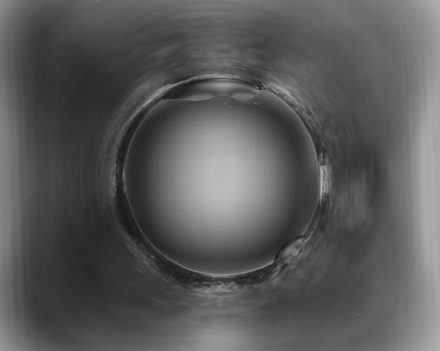 X0000088860243200706081158