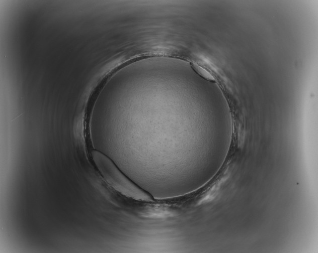 X0000088860244200706081158