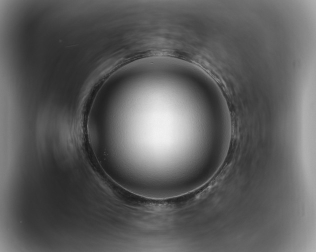 X0000088860245200706081158