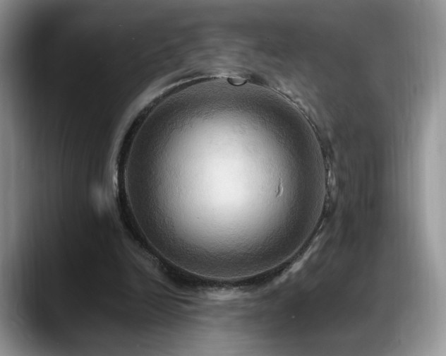 X0000088860246200706081158