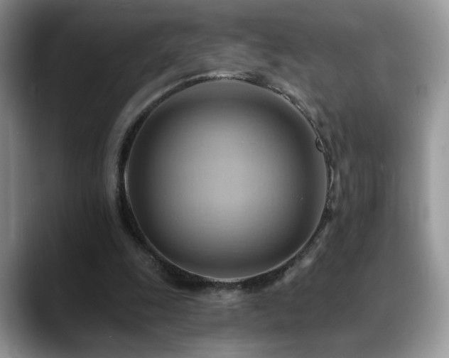 X0000088860247200706081158