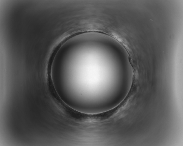 X0000088860248200706081158