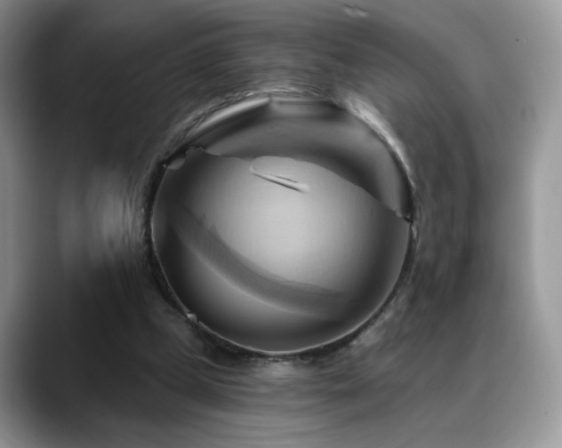 X0000088860249200706081158