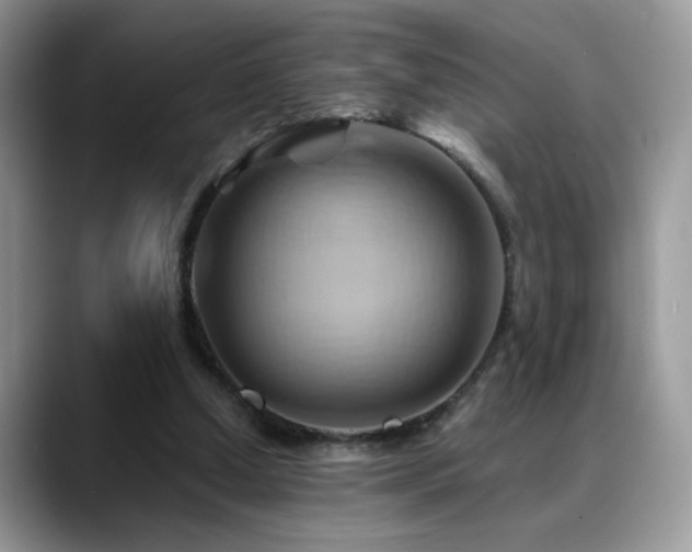 X0000088860250200706081158