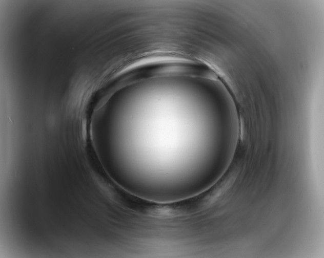 X0000088860253200706081158