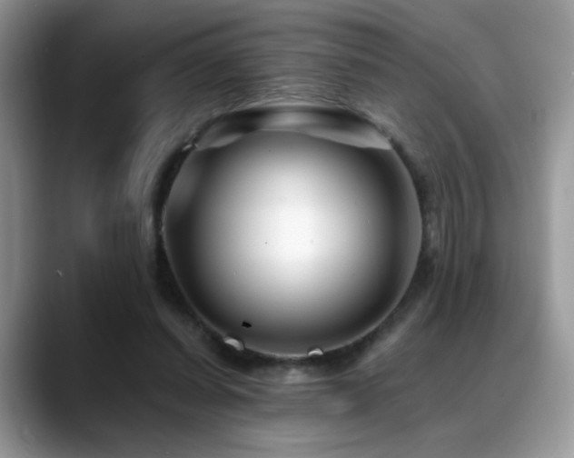X0000088860254200706081158