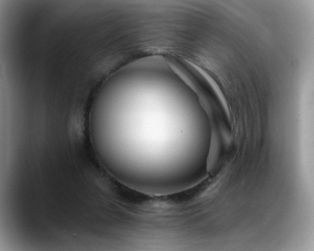 X0000088860255200706081158