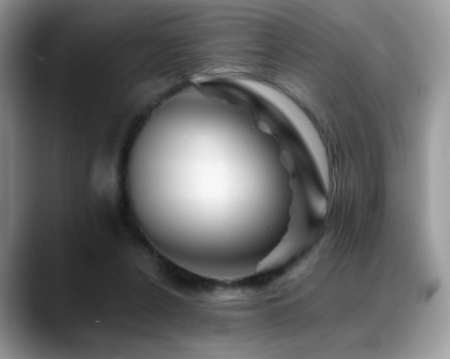 X0000088860256200706081158