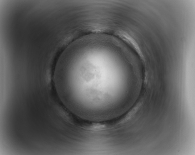X0000088860257200706081158