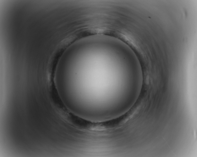 X0000088860258200706081158
