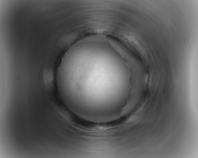 X0000088860260200706081158