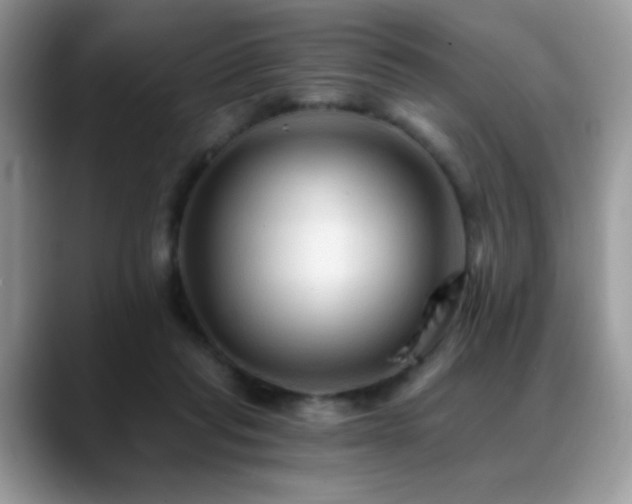 X0000088860261200706081158
