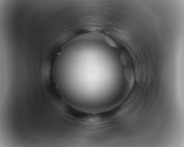 X0000088860263200706081158