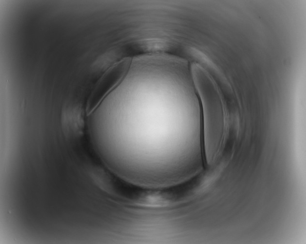 X0000088860264200706081158