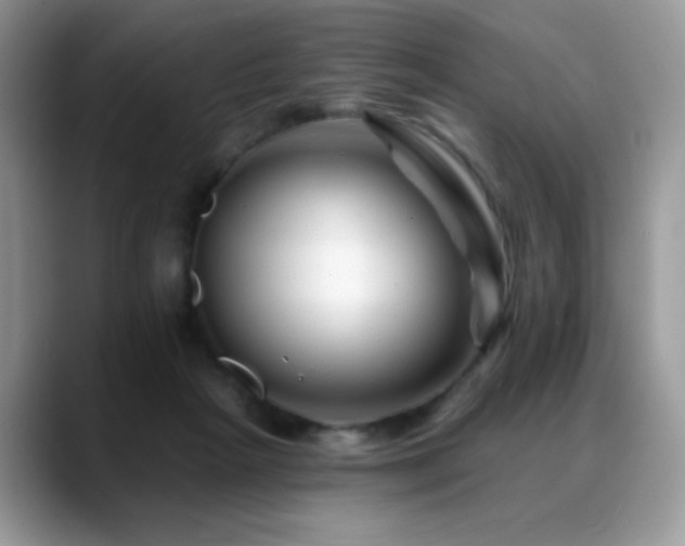 X0000088860265200706081158
