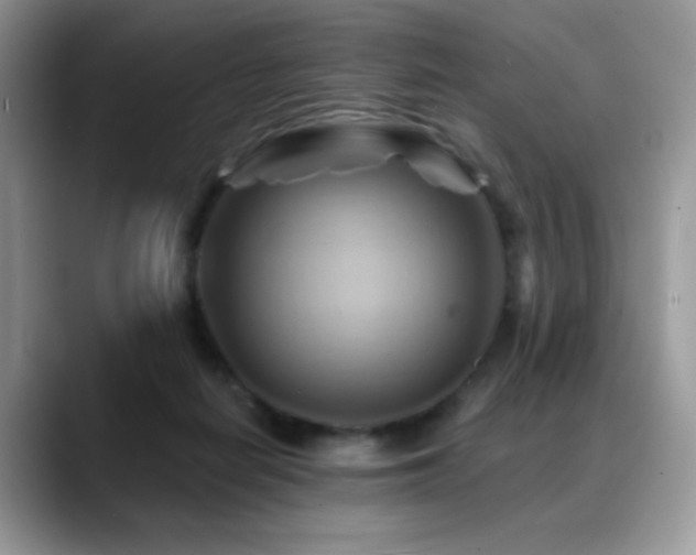X0000088860266200706081158