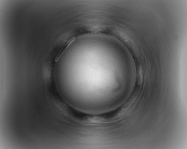 X0000088860268200706081158