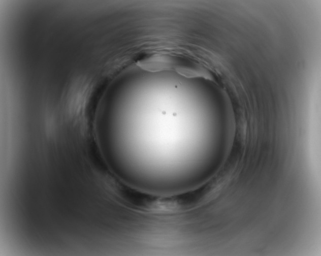 X0000088860270200706081158