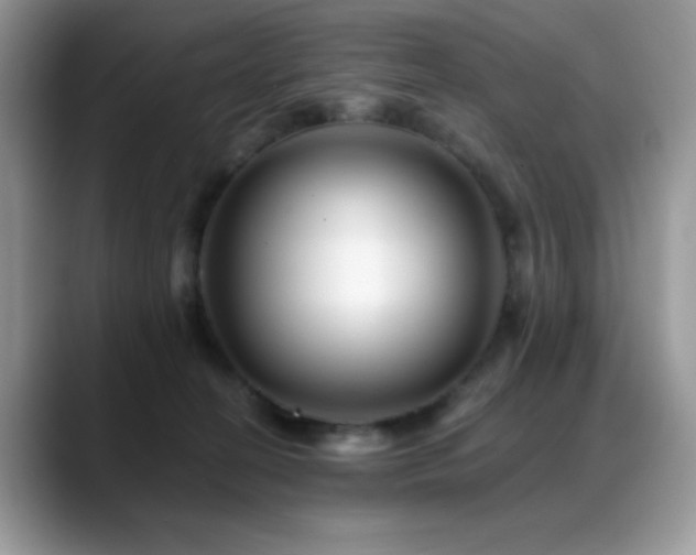 X0000088860274200706081158