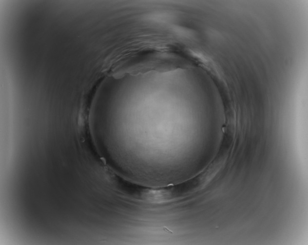 X0000088860277200706081158