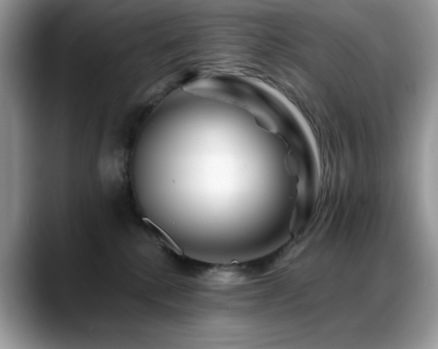 X0000088860280200706081158