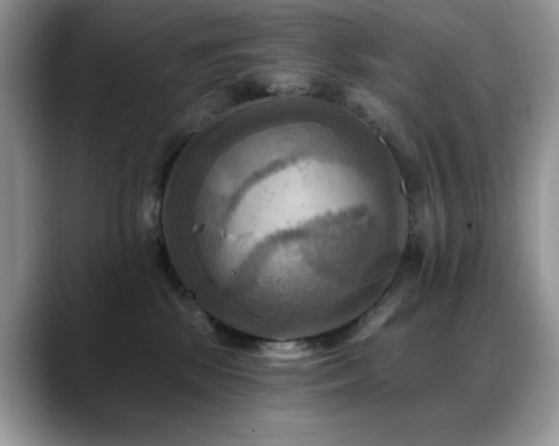 X0000088860281200706081158