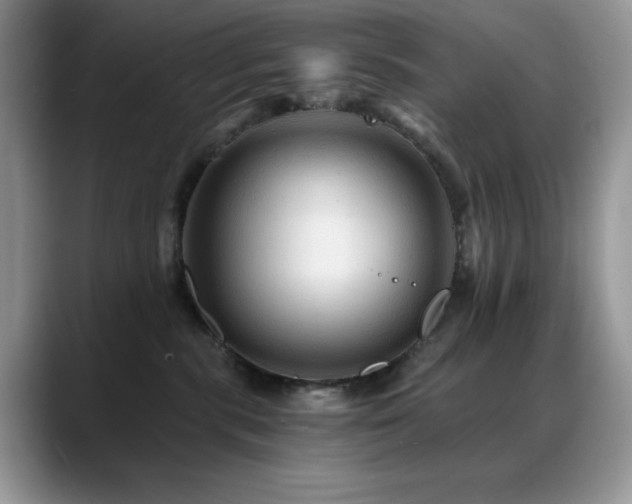 X0000088860283200706081158