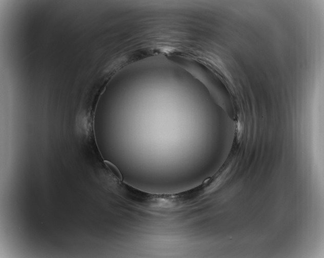 X0000088860285200706081158