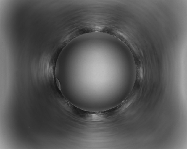 X0000088860286200706081158