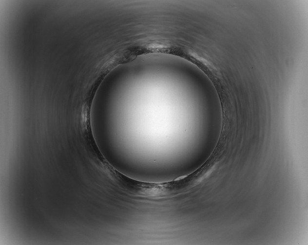 X0000088860288200706081158