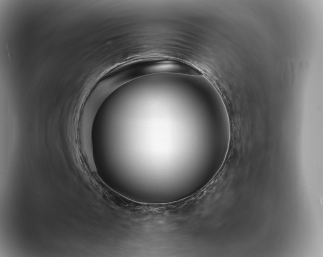 X0000088860289200706081158