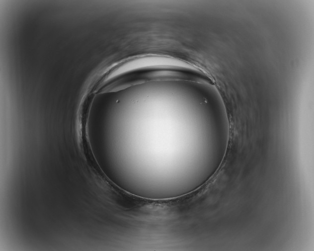 X0000088860294200706081158