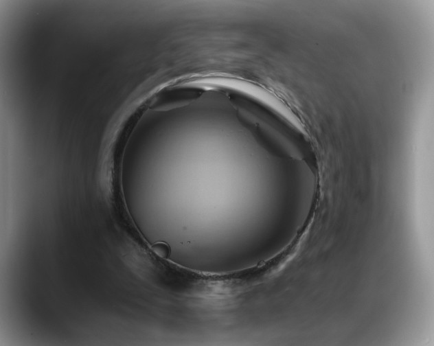 X0000088860295200706081158