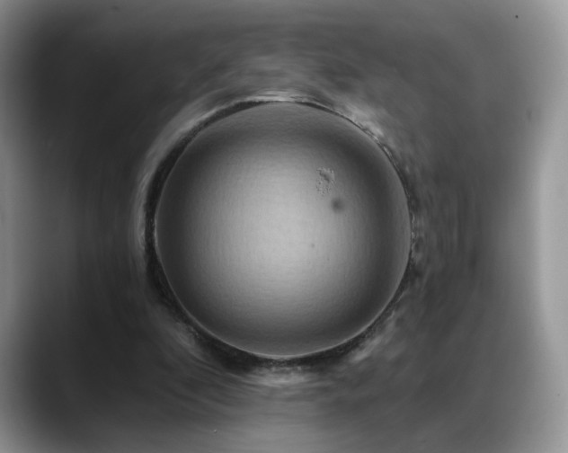 X0000088860296200706081158