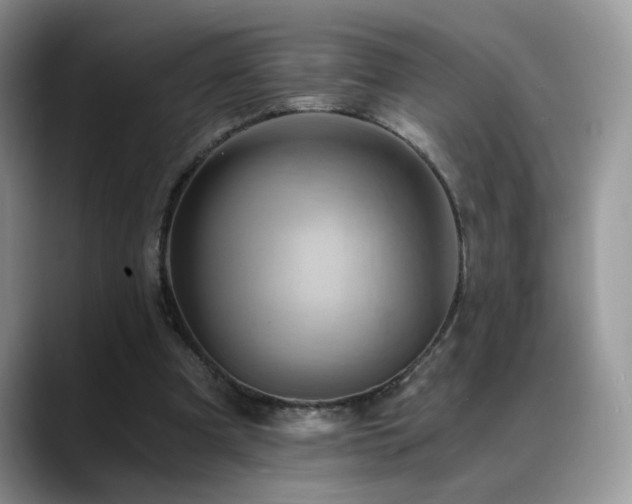 X0000088860297200706081158