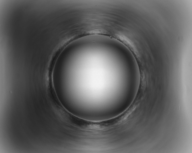 X0000088860298200706081158