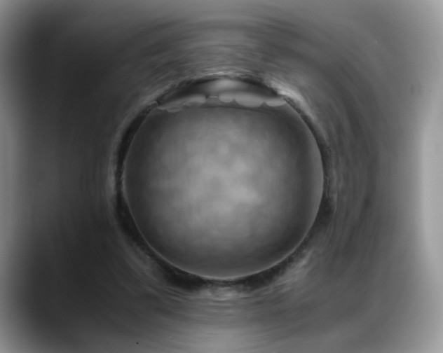 X0000088860299200706081157