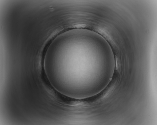 X0000088860300200706081157