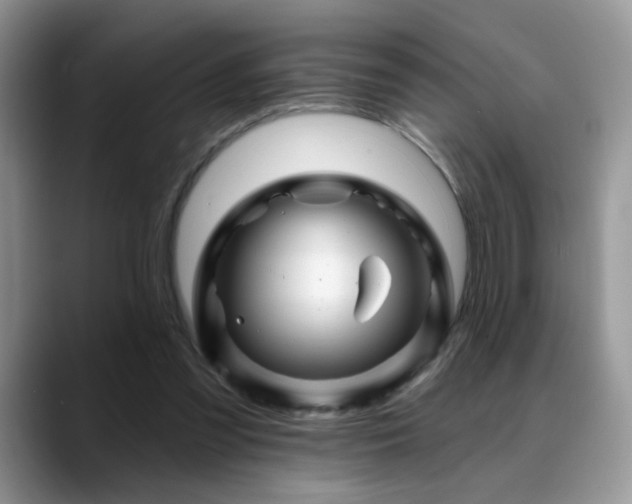 X0000088860301200706081157
