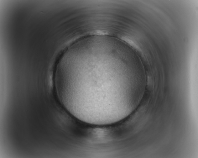 X0000088860302200706081157