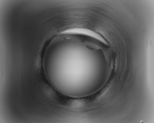 X0000088860303200706081157
