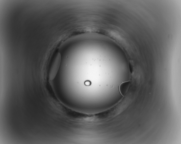 X0000088860306200706081157