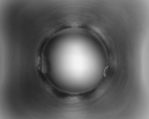 X0000088860307200706081157