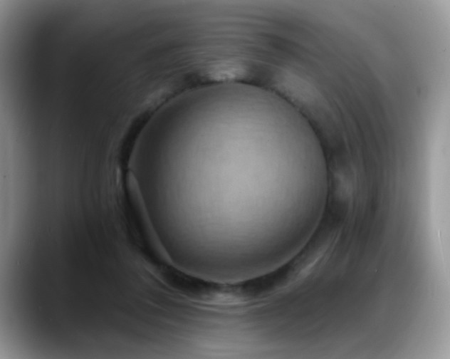 X0000088860308200706081157