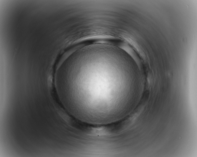 X0000088860309200706081157