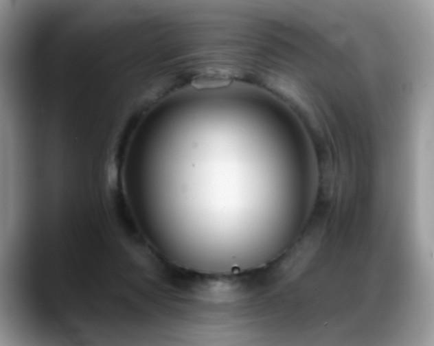 X0000088860310200706081157