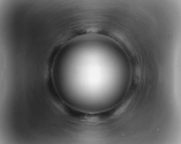 X0000088860311200706081157